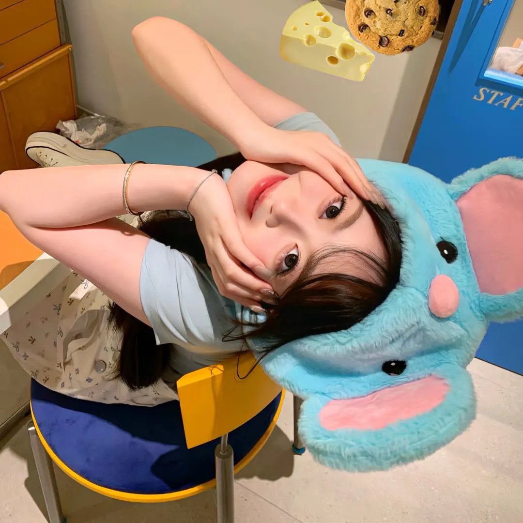 兔子